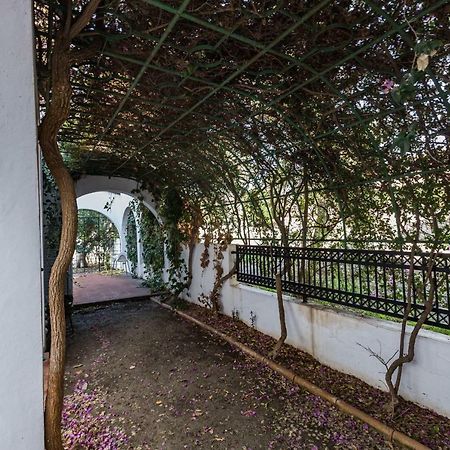 Villa Papaya Residence Пафос Экстерьер фото