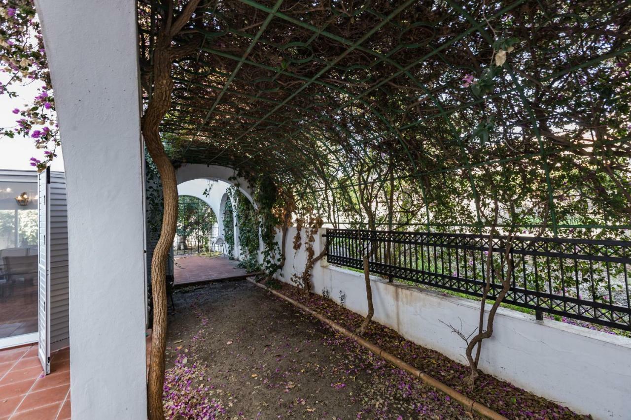 Villa Papaya Residence Пафос Экстерьер фото